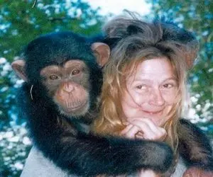 بیماری آبله میمون چیست و آیا در ایران هم وجود دارد؟