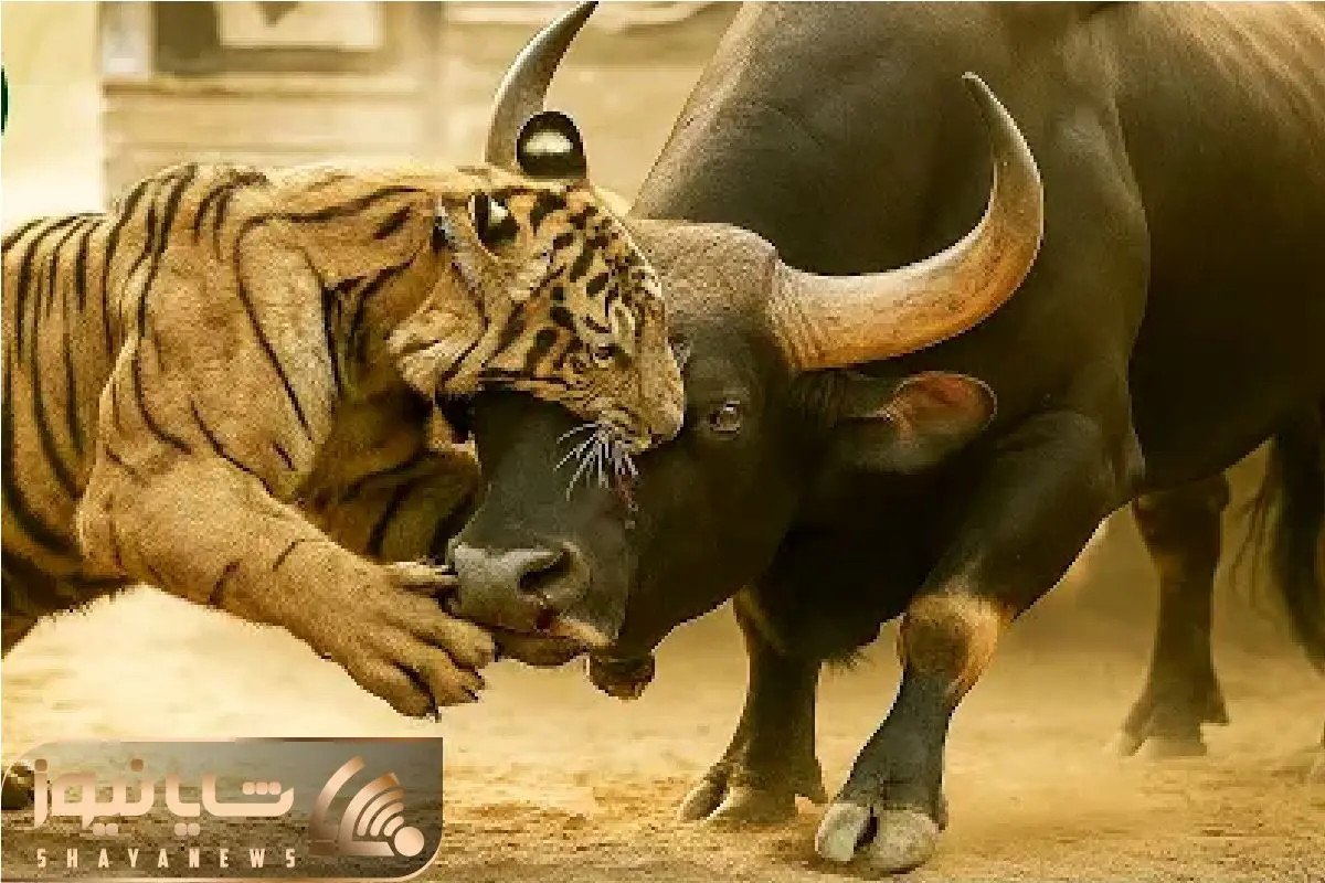قلمرو وحش / ببر که خرس، تمساح، گاو و حتی شیر را شرحه میکند