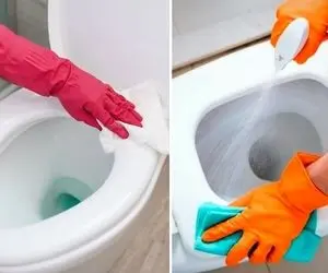شستشوی توالت فرنگی شاید یکم سخت به نظر بیاد ولی با این ترفندا میشه دسته گل / بدو بیا