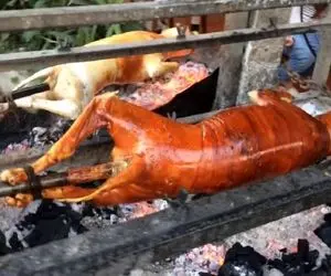 کباب سگ؛ سگ نازنازی رو دست و پا بسته به صلیب میکشن بریونی شده میفروشن