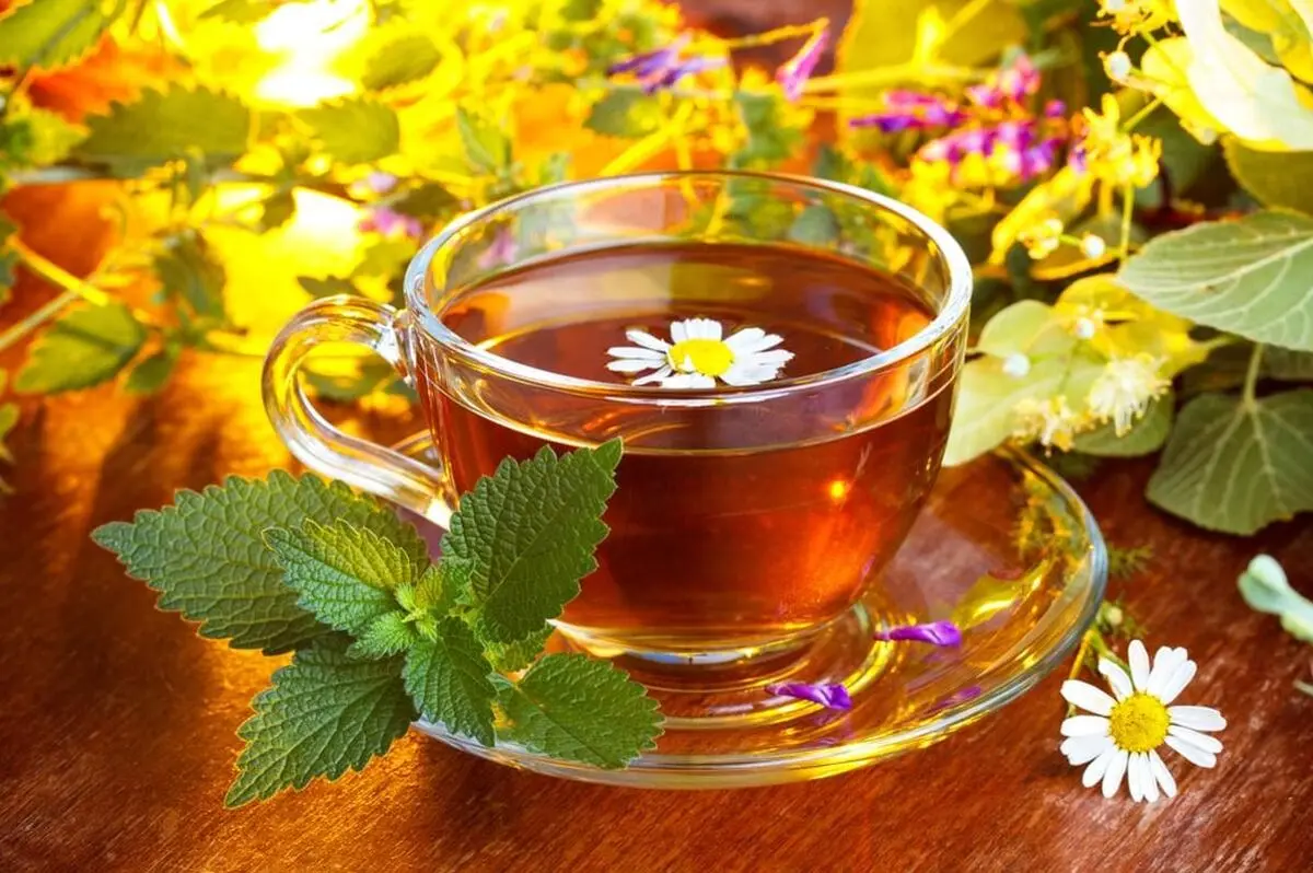 بابونه