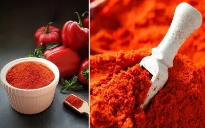 طرز تهیه پودر پاپریکا ساده و دودی خانگی / بهترین روش برای درست کردن بهترین ادویه