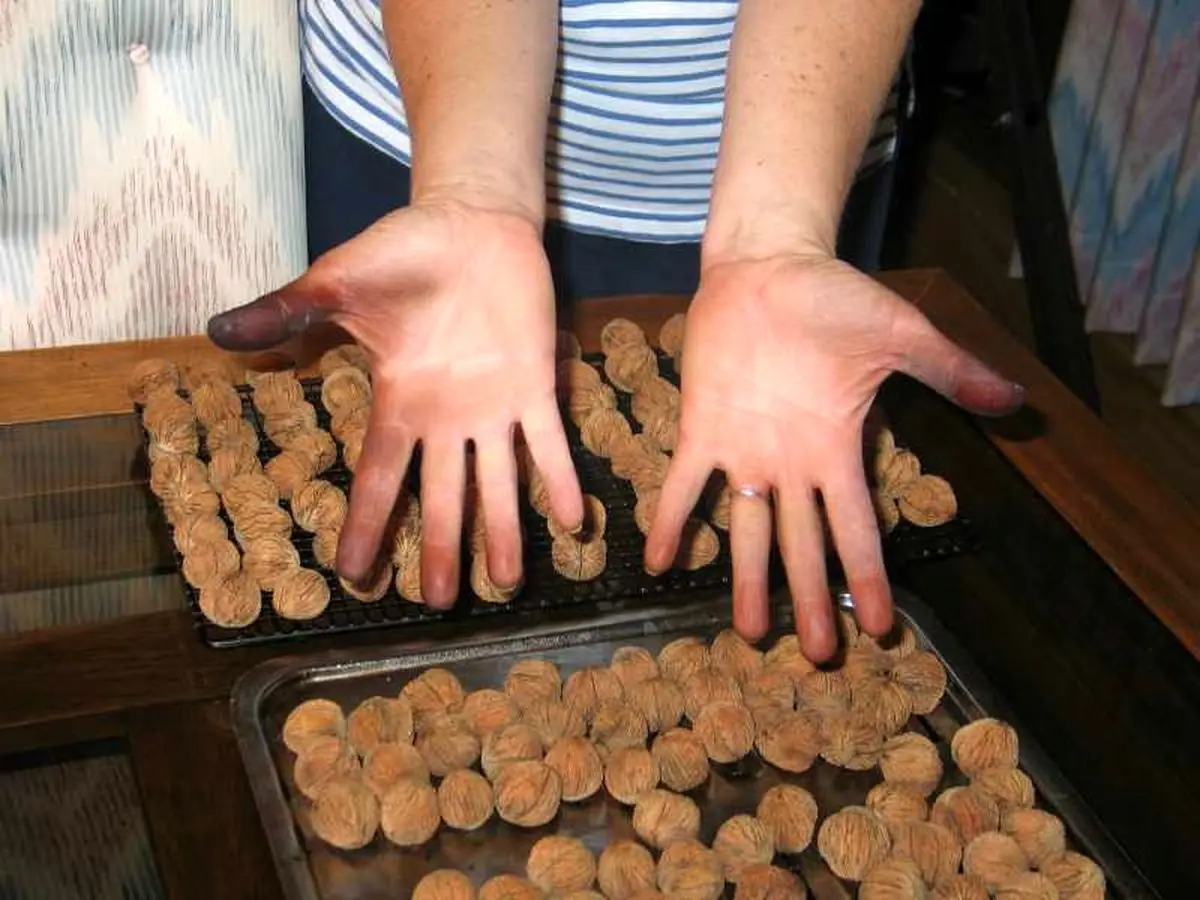 How-to-Remove-Walnut-Stains-From-Skin-05