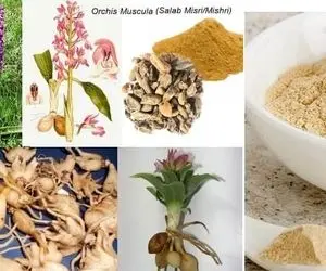 معجون ثعلب چیست؟ تقویت قوای جنسی یا درمان کرونا؟