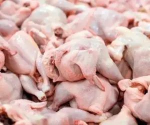 چرا مرغ گران شده؟