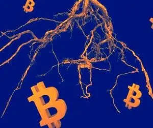 خبری خوش برای جامعه رمز ارزها!