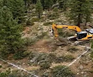 معماری خلاقانه؛ خونه جنگلی چوبی ساختن خوراکه مدیتیشن و بازیابی آرامش