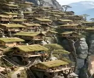 معماری خلاقانه؛ رو درختا که ریشه محکم داشتن تو کوه خونه ساختن با هر باد چپو راست میشن