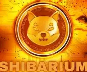 شیبااینو به پوچی رسید؟!