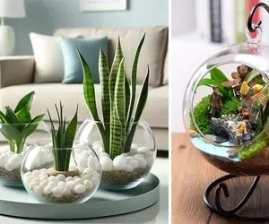 گلدان شیشه‌ای خاص برای گیاهان آپارتمانی / صبح بیدار میشی ریشه هاشو در حال تکون میبینی