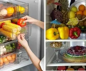 گذاشتن این میوه ها در یخچال اشتباهه اشتباه / دونستنی هایی که کدبانوها حواسشون هست