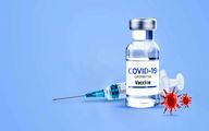 ثبت نام واکسن غیر حضوری است صف نبندید