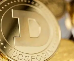 دوج کوین تو جمعه سیاه همه رو شوکه کرد!