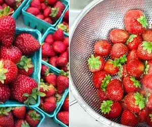 به خوووشگلی توت فرنگی نگا نکن توش پر کرمِ که با آب نمیره؛ با این ترفندا ضدعفونیش کن