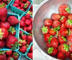 به خوووشگلی توت فرنگی نگا نکن توش پر کرمِ که با آب نمیره؛ با این ترفندا ضدعفونیش کن