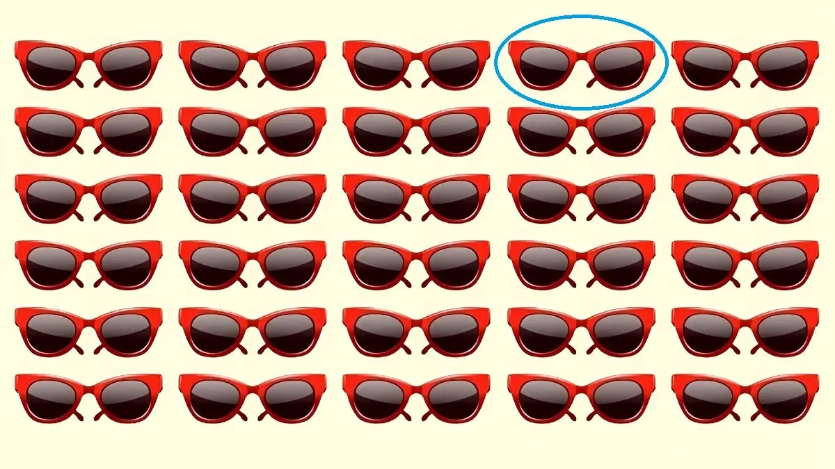 پاسخ-تست-بینایی-یافتن-عینک-دودی-متفاوت