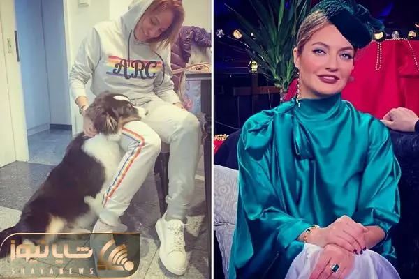 mahnaz afshar shayanews