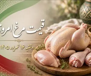 قیمت مرغ امروز دوشنبه 16 شهریور 1405 | مرغ ارزان شد؟ + جدول قیمت