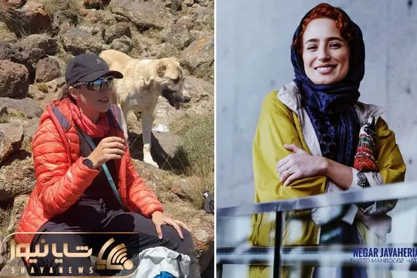 negar javaherian shayanews