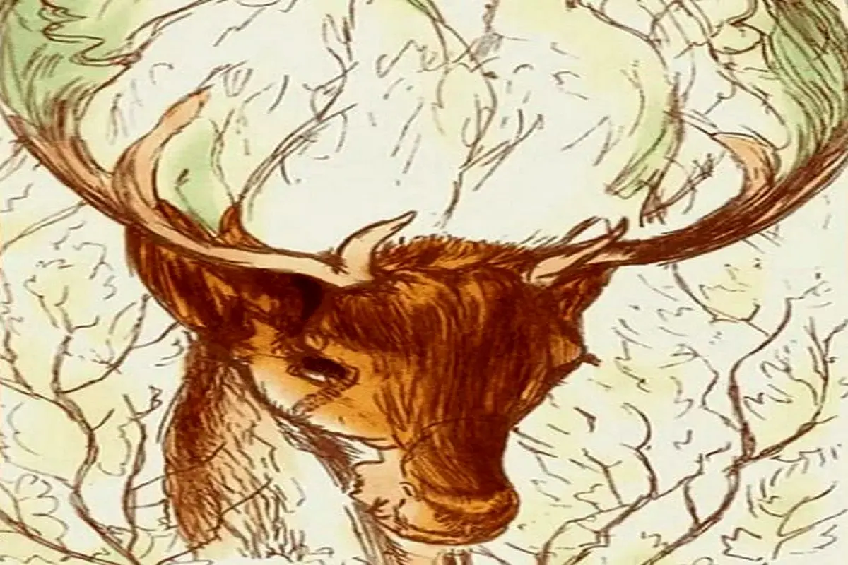 راز-زن-پنهان-در-جنگل-2