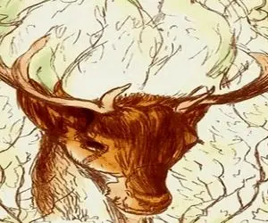 بازی فکری؛ فقط چشم های ماورایی میتونن راز بزرگ و مخوف این جنگلو پیدا کنن