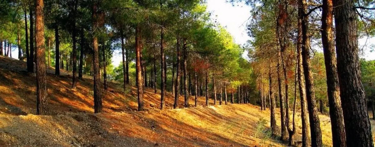 بهترین جاها برای گذروندن سیزده به در