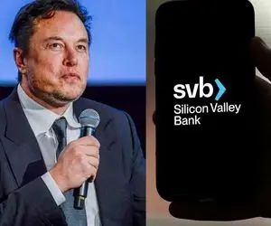 ایلان ماسک از آب گل آلود ماهی گرفت!