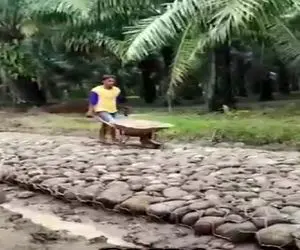 معماری خلاقانه؛ زیر آسفالت جاده رو سنگ کاری کردن نشکنه کره زمینم نابود بشه این میمونه