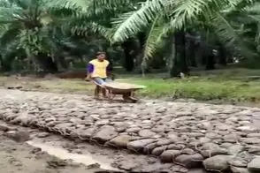 معماری خلاقانه؛ زیر آسفالت جاده رو سنگ کاری کردن نشکنه کره زمینم نابود بشه این میمونه