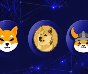 دوج کوین، شیبااینو و فلوکی تو پوست خودشون نمیگنجن!