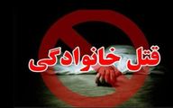 قتل عام خانوادگی در فاریاب کرمان؛ جوان 30 ساله 12 نفر را کشت