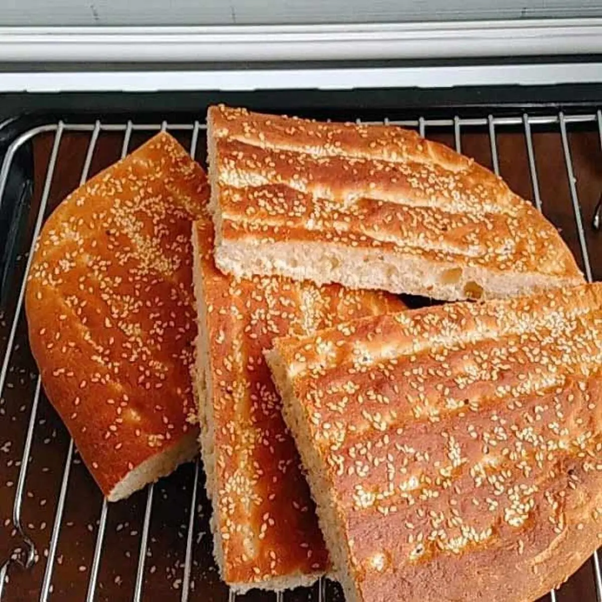 nan-barbari-2