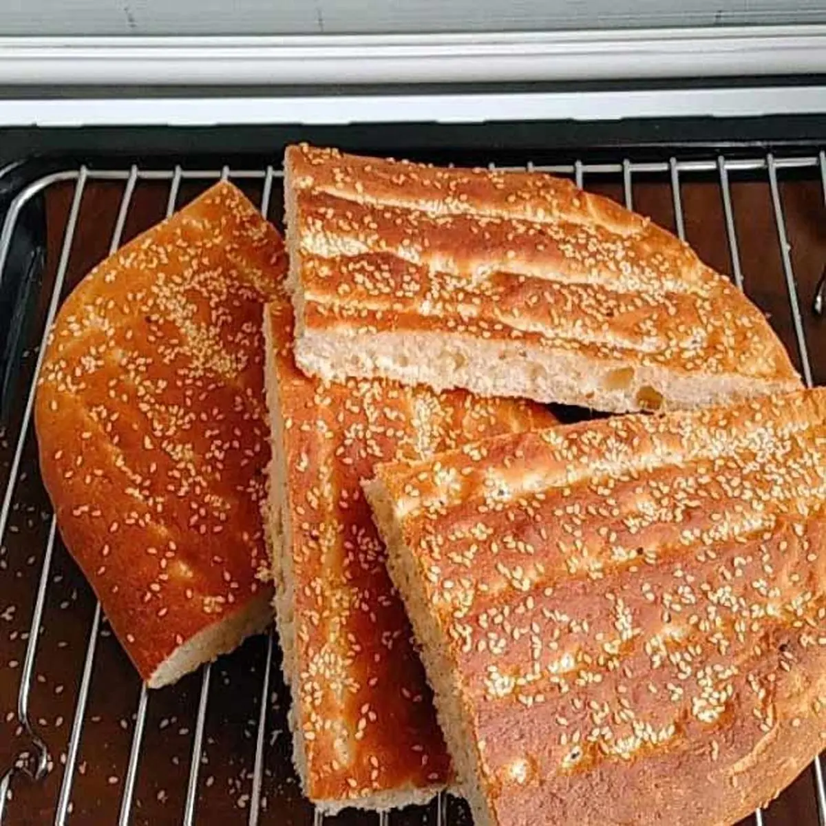 nan-barbari-2