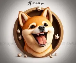 خبری خوش برای کاربران شیبااینو!