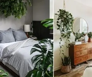 معرفی چند گیاه طبیعی مناسب اتاق خواب / یه خواب آروم و دلچسب در جوار گیاهان آرامبخش