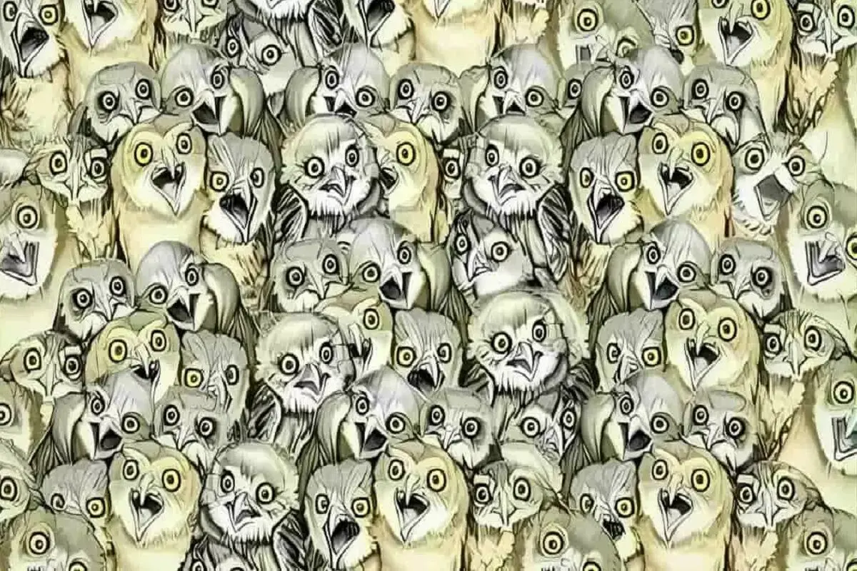 زذث