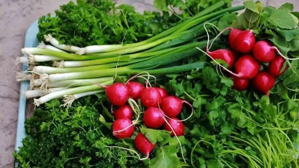 سبزی3