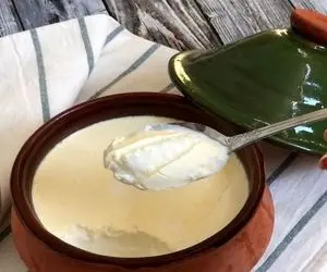 آشپزی حرفه ای؛ ترفند های ماست زدن، بیا بگم مایه ماست چه ویژگی هایی باید داسته باشه؟