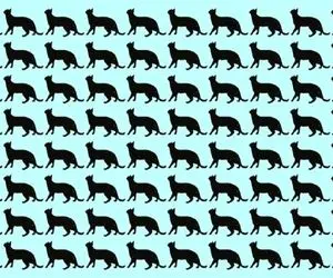 بازی فکری؛ میخوای بیگ لایک بگیری برای بندبند وجودت که هوش پیشی میشی متفاوت رو پیدا کن