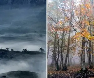 سفر پاییزی به دُرفَک گیلان رو از دست ندید / دریایی از ابر و مناظری که بی نظیرن