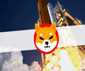 دلیل هجوم نهنگ های شیبااینو؟؟