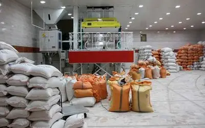 بحران برق، شالی‌کاران گیلان را زمین‌گیر کرده است