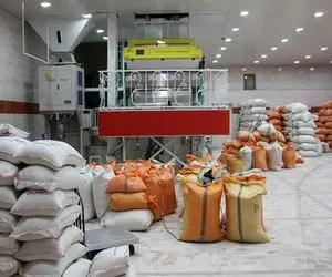 بحران برق، شالی‌کاران گیلان را زمین‌گیر کرده است