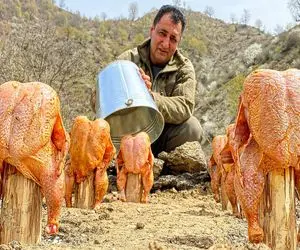 غذای باحال؛ مرغ رو بعد مزه دار کردن از باسن میزنه به کنده درخت گر بگیره بپزه