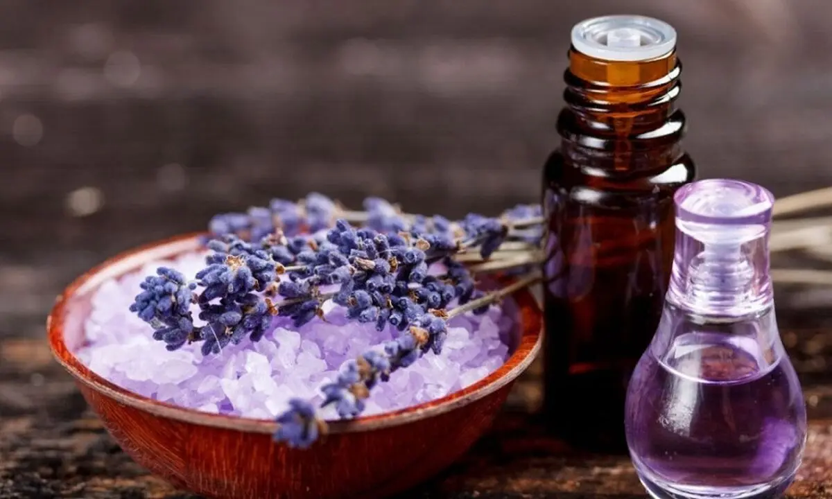 properties-clary-sage-oil-health-body