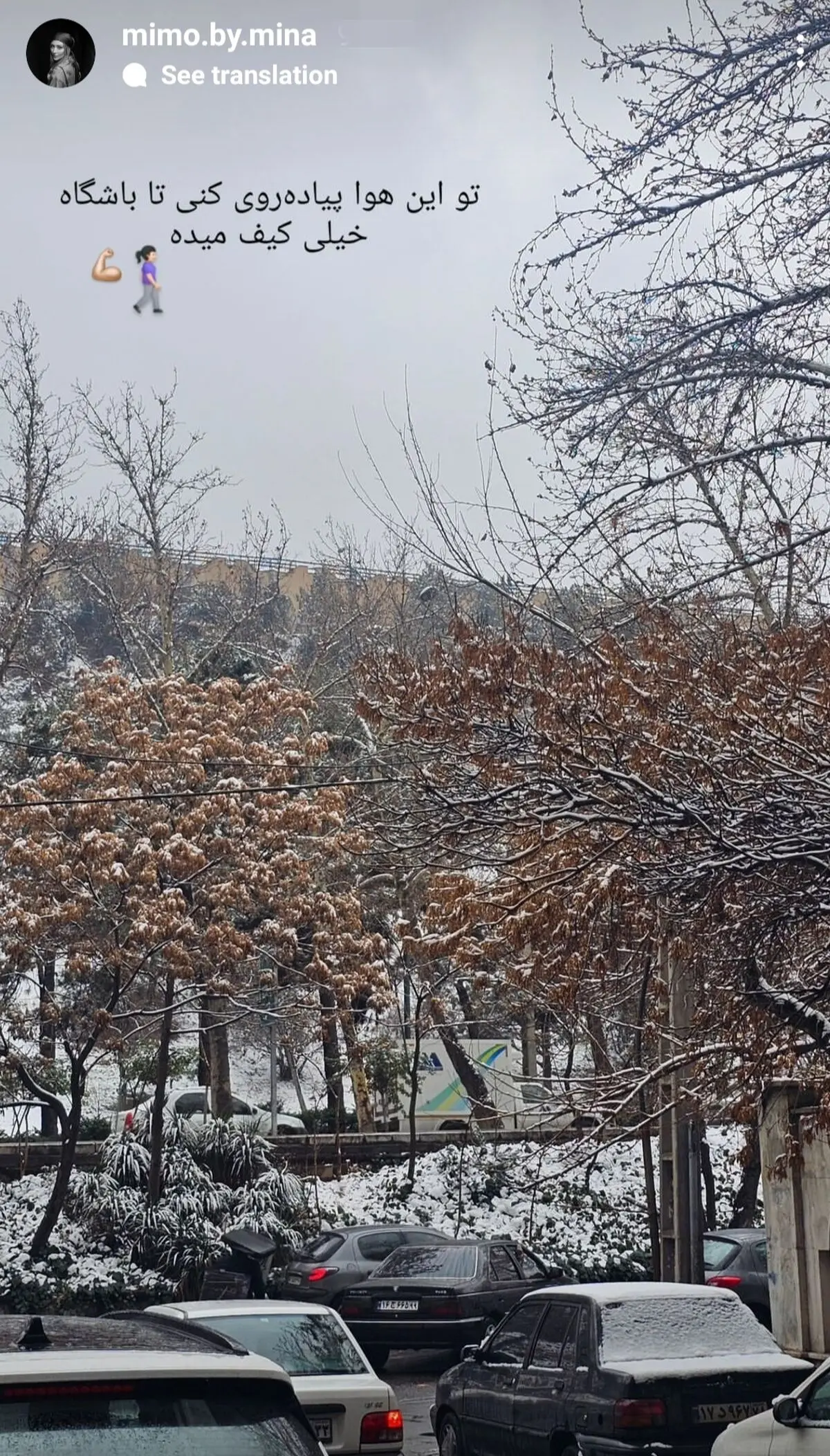 بهرام رادان