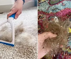 ترفندای جمع کردن مو از روی فرش بدون دونه دونه برداشتن / اینارو فقط خانومای خفن میدونن