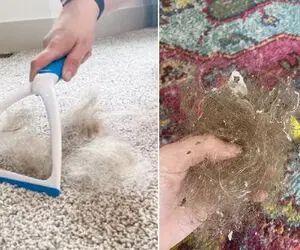 ترفندای جمع کردن مو از روی فرش بدون دونه دونه برداشتن / اینارو فقط خانومای خفن میدونن