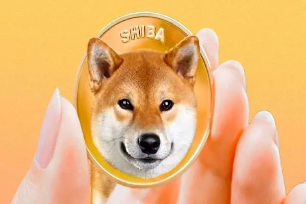 shibainu