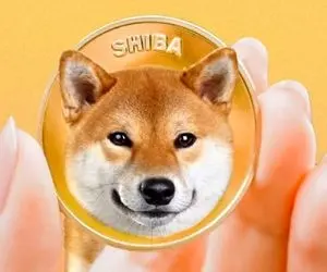 واقعا الان زمان خرید شیبااینو رسیده؟؟